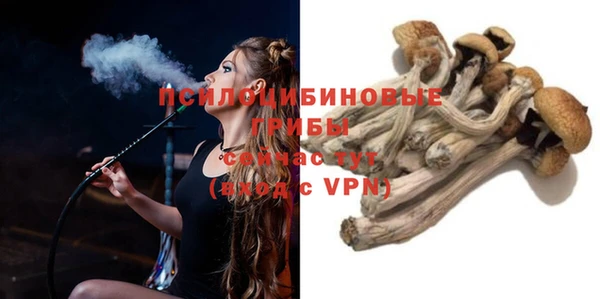 2c-b Новодвинск