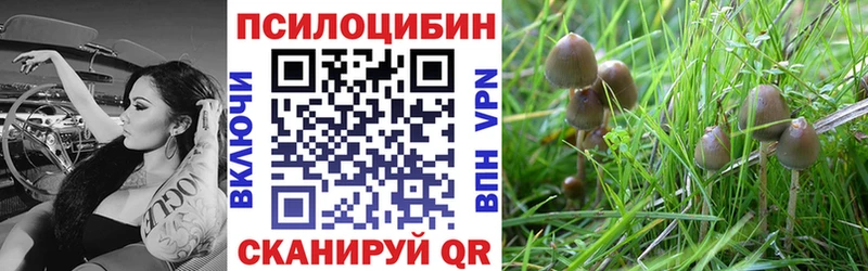 даркнет сайт  Североморск  ссылка на мегу ONION  Псилоцибиновые грибы мухоморы 